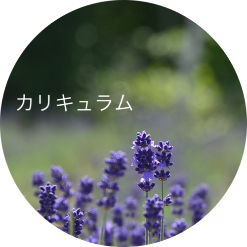 ラベンダー