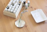 aroma-lesson