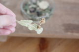 120C8605-61EF-4E2F-881C-43BFC14294CE