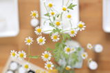 aroma-lesson