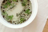 Herbal-bath