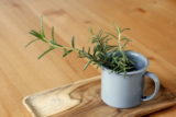 rosemary