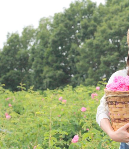 ナードジャパン農場