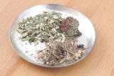 echinacea