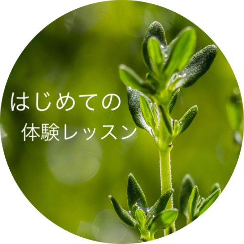 タイムブルガリス